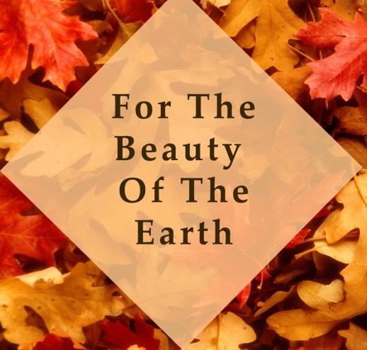 autumn-leaves_00368976